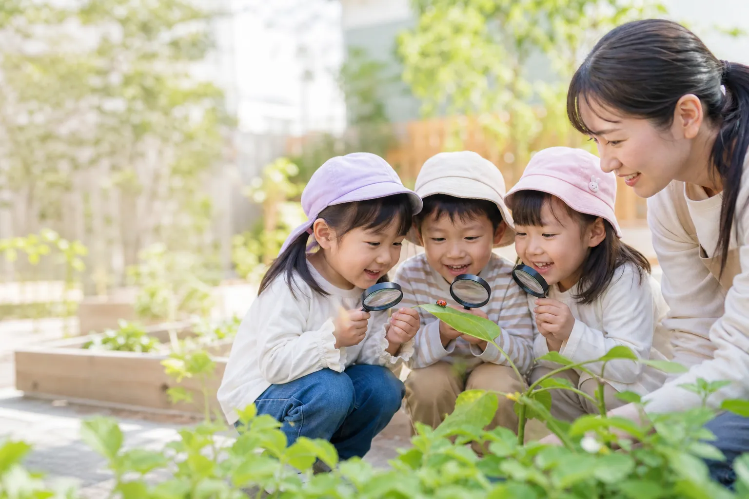 園庭で虫を観察する子どもたちと保育者
